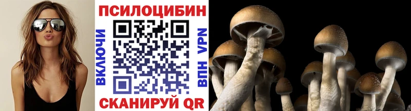 Галлюциногенные грибы Magic Shrooms  hydra маркетплейс  дарк нет какой сайт  Плавск 